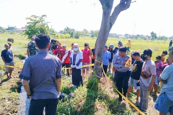 Diduga Akibat Serangan Jantung, Seorang Petani Ditemukan Meninggal di Area Persawahan Oplus 131072