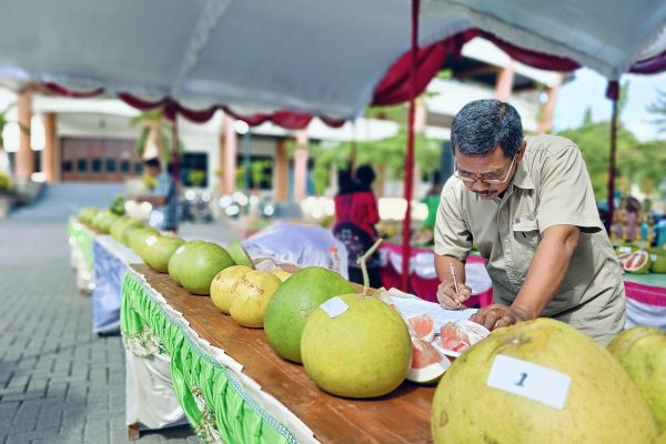 Seluruh Jeruk Besar di Magetan Ikuti “Kontes Jeruk Pamelo” di HKP 2024 Oplus 132114