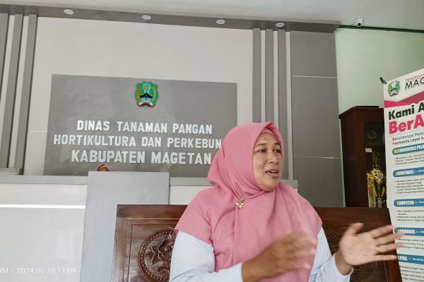 Soal Bawang Merah Tak Tumbuh Optimal, Begini Penjelasan DTPHP Magetan Oplus 131072
