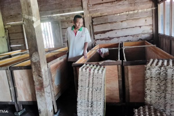 Manfaatkan Bekas Tempat Telor, Warga Desa Dawung Jogorogo Sukses Jadi Pengusaha Jangkrik