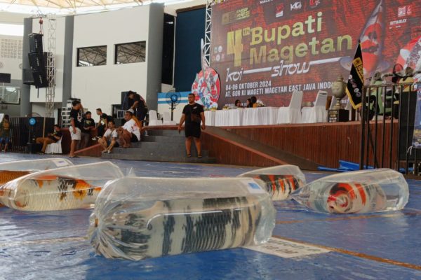 Kontes 4th Bupati Magetan Koi Show Digelar 3 Hari, Tanggal 4-6 Oktober 2024