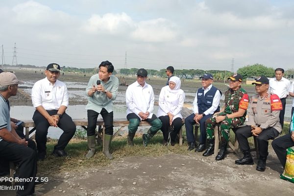 Dialog Bersama Petani, Wapres Gibran Apresiasi Sistem Pertanian Ramah Lingkungan