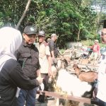 Pemkab Ngawi : Pantau Hewan Kurban di Pasar Legi Pastikan Sehat Sebelum Dijual