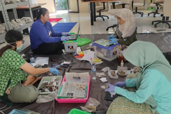 Konservasi Perawatan Koleksi Fosil di Museum Trinil Ngawi