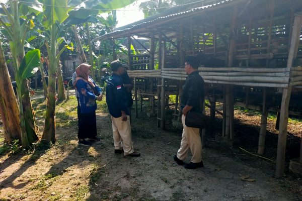 Baznas Magetan Salurkan Bantuan Ternak di 10 Kecamatan Secara Serentak