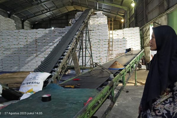 Stok Gula di PG Redjosari Menumpuk Ribuan Ton, Petani Tebu Menjerit