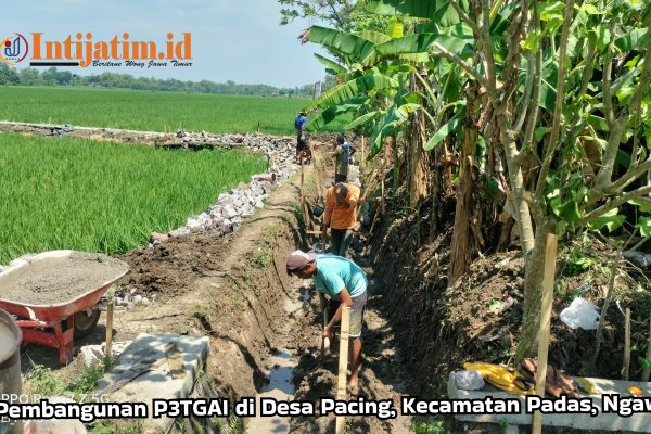 Program Percepatan Peningkatan Tata Guna Air Irigasi (P3TGAI)