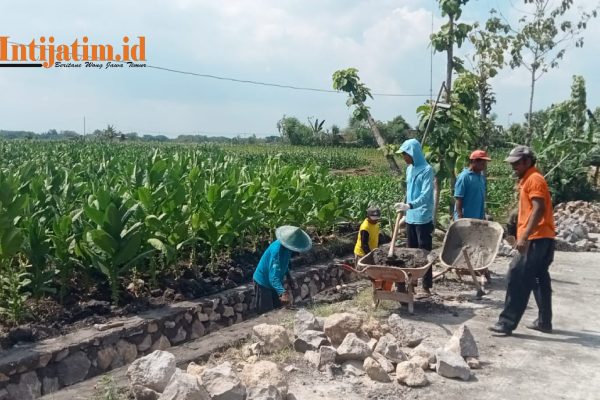 Kelompok P3A Tirta Aji Lestari Manfaatkan P3-TGAI