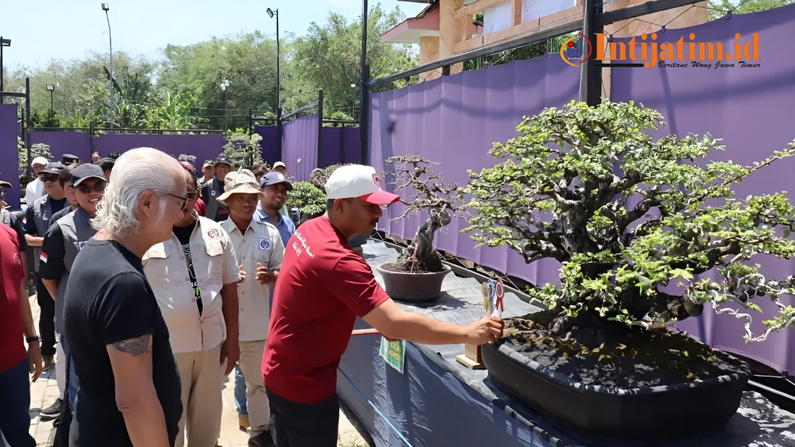 Seni Bonsai Jadi Penggerak Ekonomi Kreatif dan UMKM Lokal