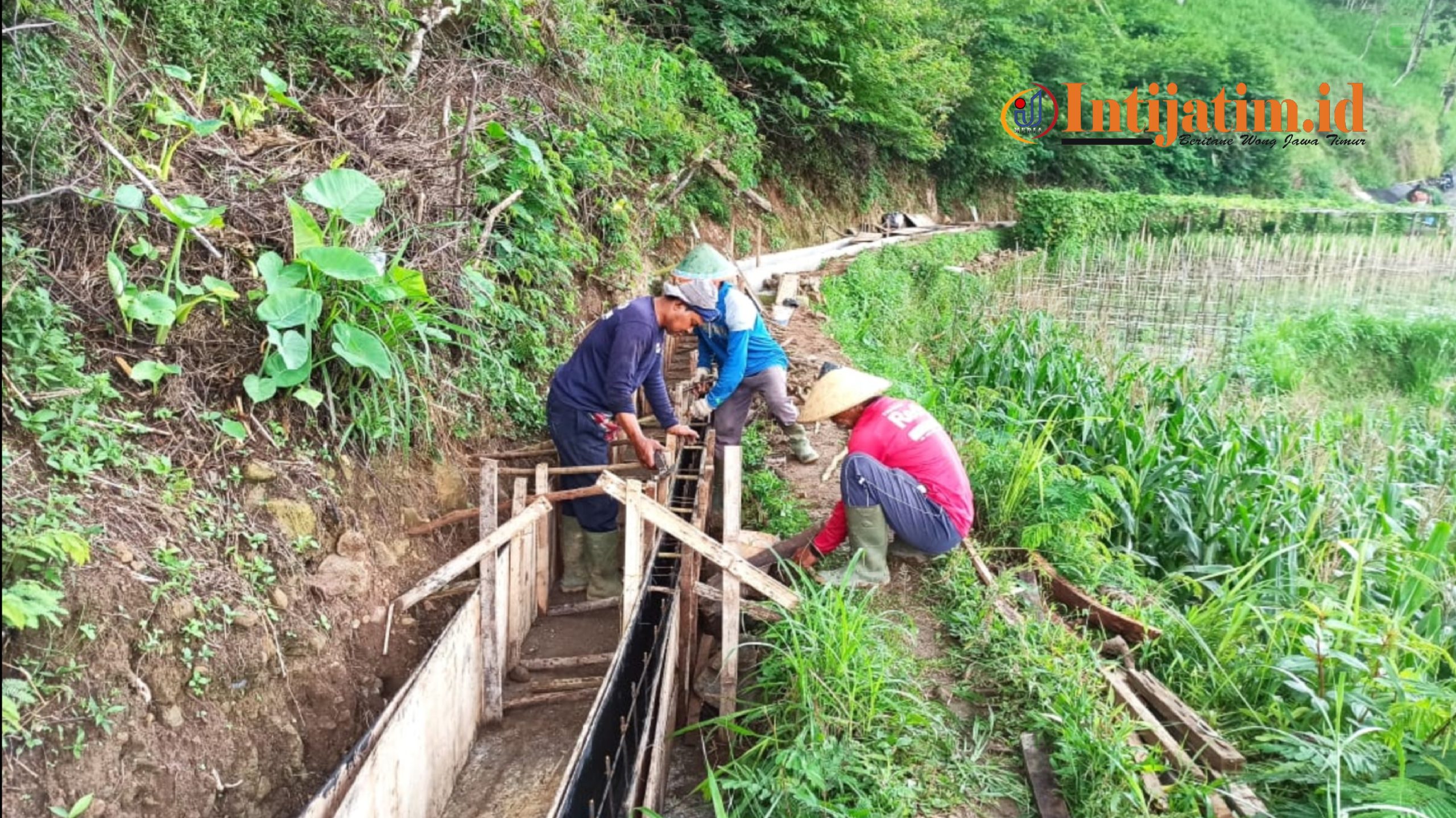 gridart 20251104 172007840