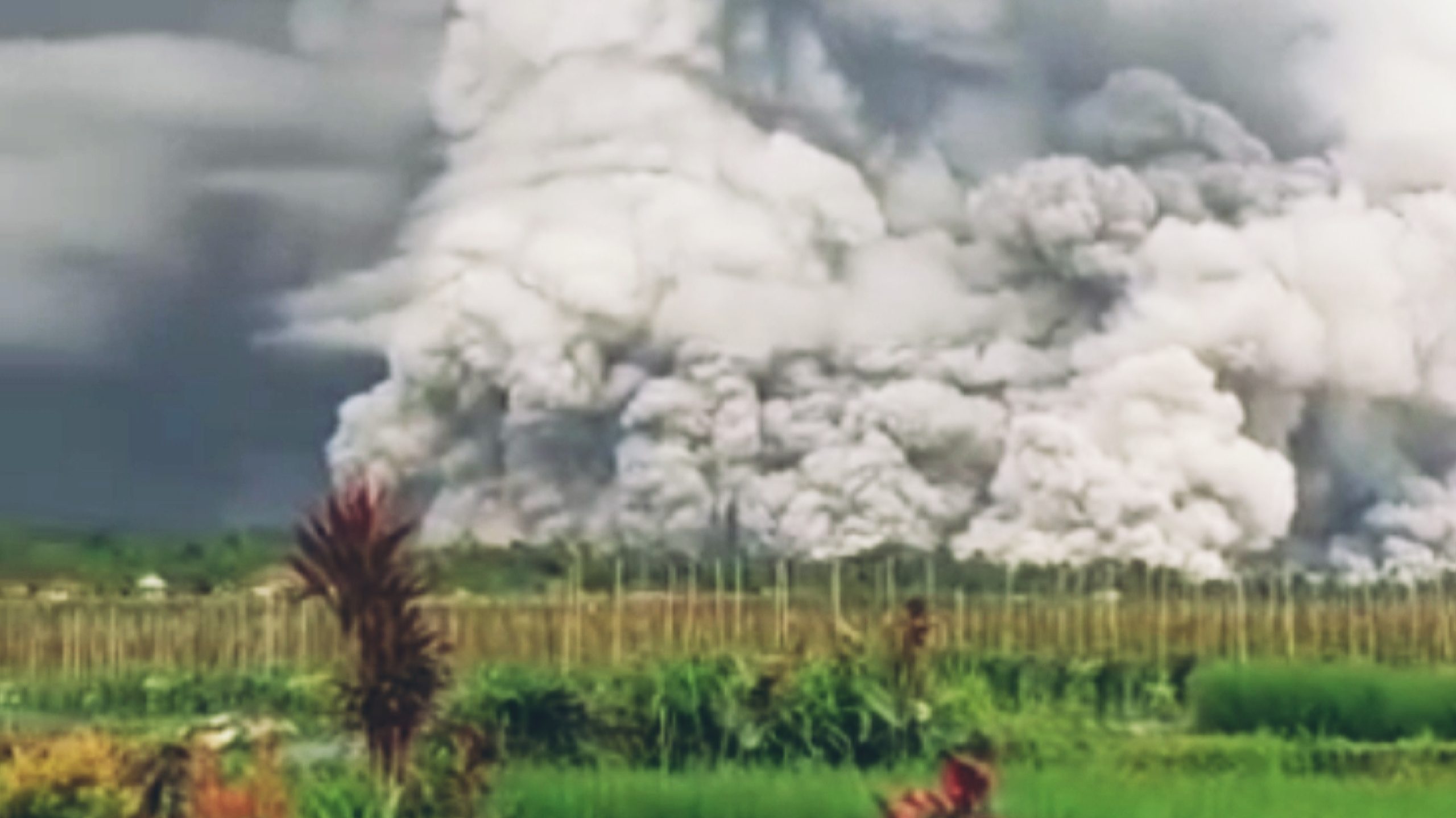 Lumajang: Semeru Erupsi Signifikan, Status Naik Menjadi Awas