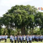 gridart 20251216 123727438