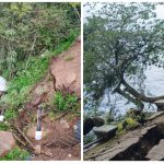 gridart 20260119 221310481