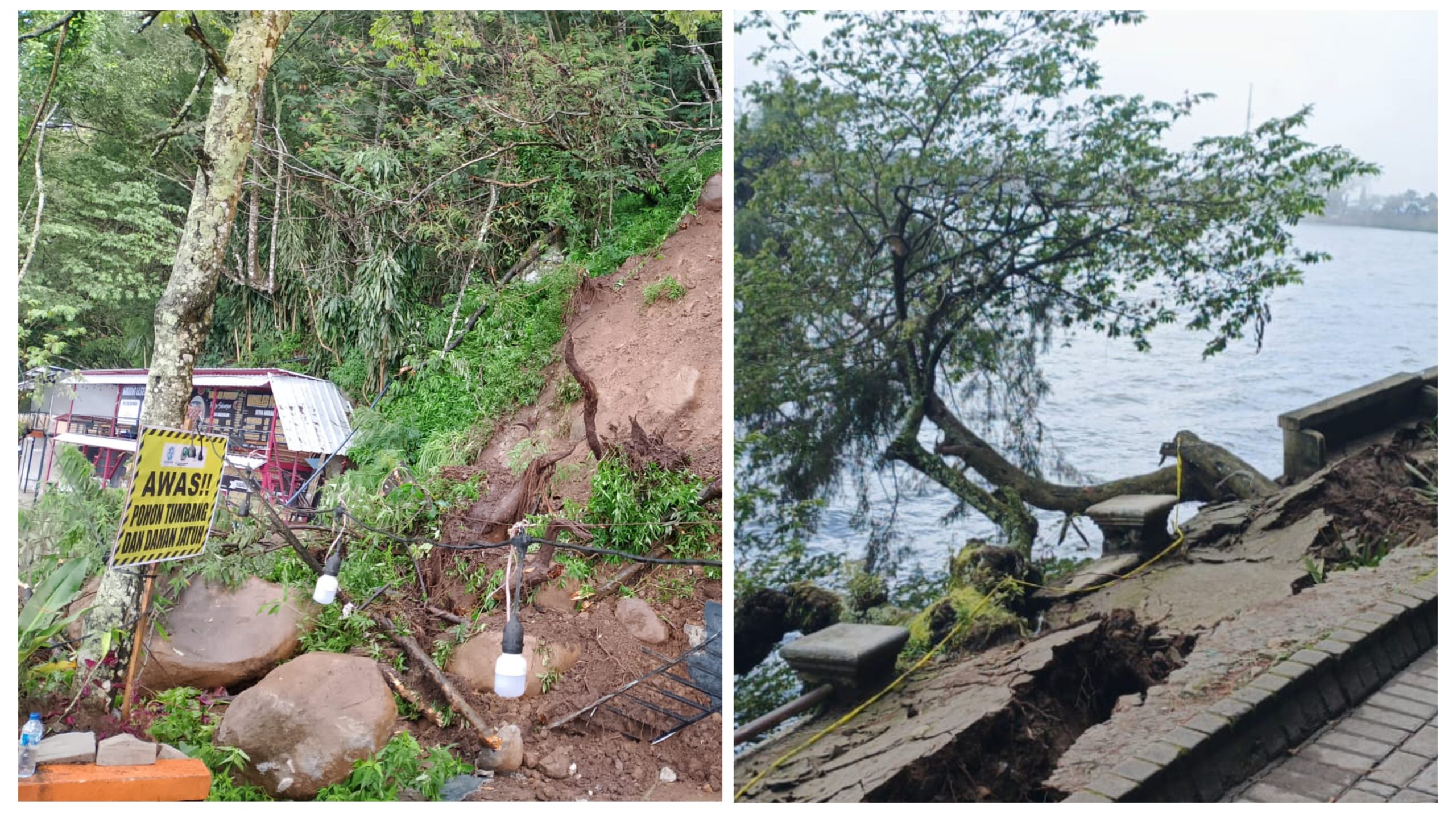 gridart 20260119 221310481