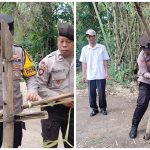 gridart 20260121 194807449