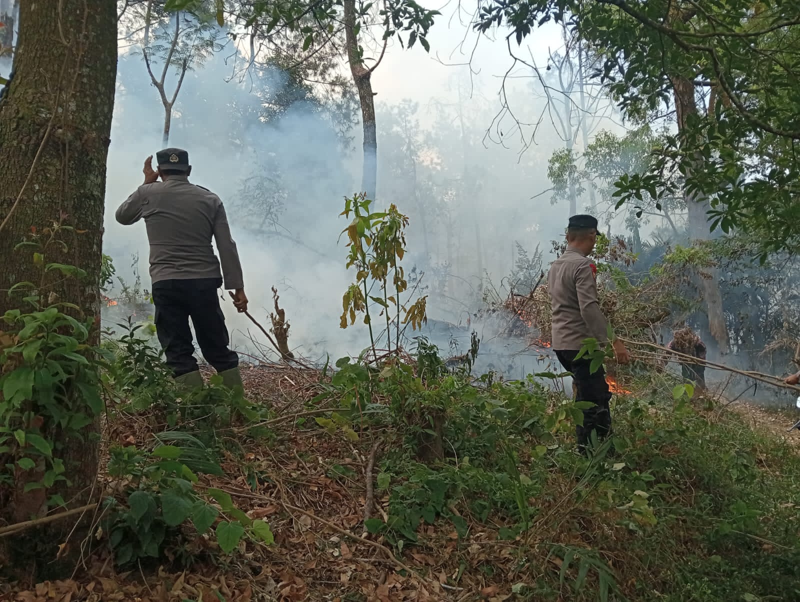 Sinergi Lintas Sektor, Jinakkan Karhutla di Lereng Gunung Lawu Magetan